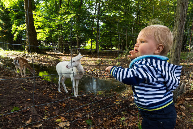 Dans le parc de Richelieu, avec les animaux