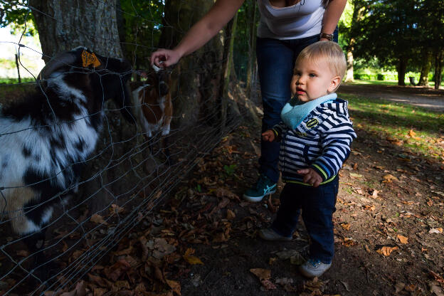 Dans le parc de Richelieu, avec les animaux