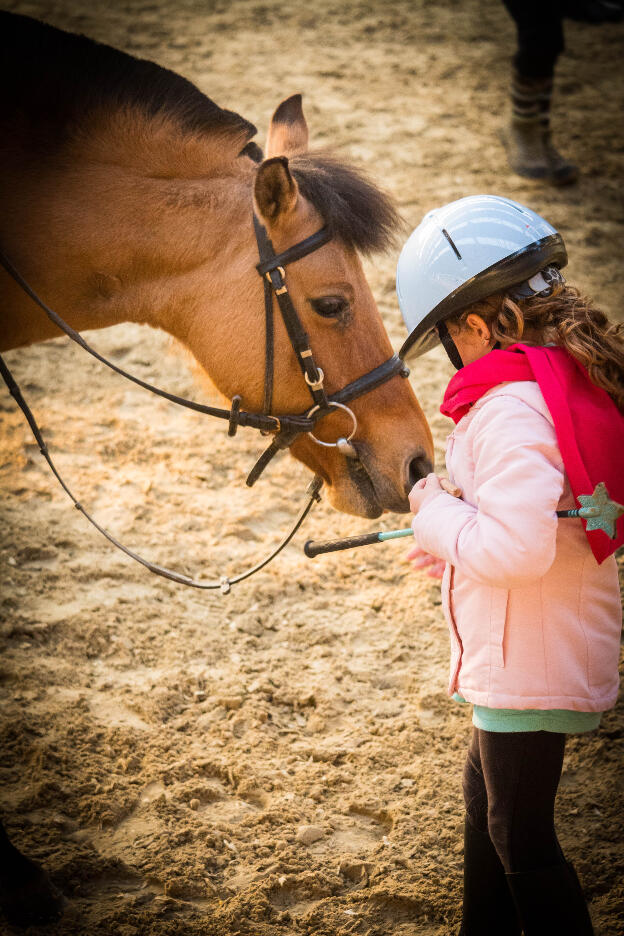 En train de récompenser son cheval