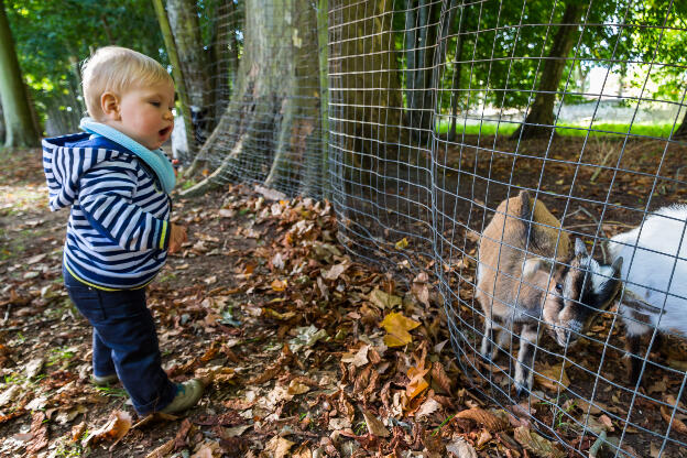 Dans le parc de Richelieu, avec les animaux