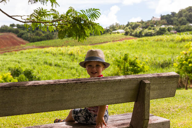 Victor - 2016 Octobre - Martinique