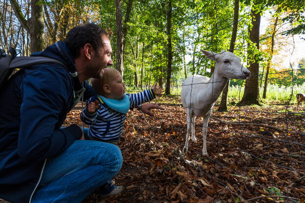 Dans le parc de Richelieu, avec les animaux